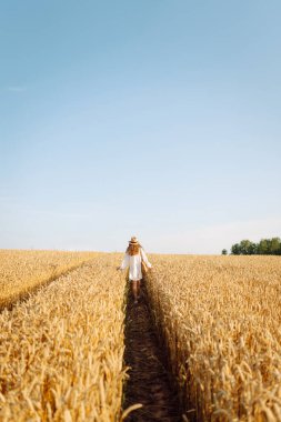 Genç bir kadın altın buğday tarlasında güneşli bir günün tadını çıkarıyor. Beyaz elbiseli ve şapkalı güzel bir kadın tarlada yürüyor, zevk alıyor. Yürümek, doğa konsepti..