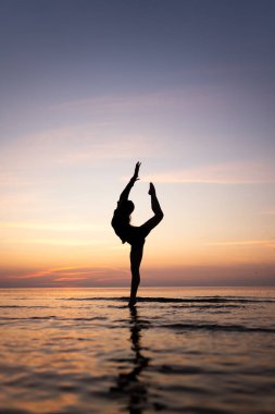 Güzel bir kadının silueti, deniz manzarasına karşı zarif bir poz veriyor. Genç bir jimnastikçi gün batımında çeşitli spor unsurları sergiler. Spor, güzellik ve rahatlama kavramı.
