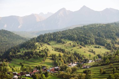 Güneşin altında yemyeşil tepeler. Arka planda dağlar olan sakin bir kırsal bölge. Doğa ve yalnızlık kavramı. Dağ manzarası.