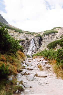 Parlak yeşil çalıların arasında kayalık dar bir yol ve kayaların arasında ilham verici bir şelale. Güneş ışınlarında bir şelale ile nefes kesici doğal dağ manzarası. Barış kavramı.