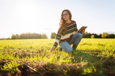 Dijital tabletli genç kadın tarımcı yeşil tarım alanında çalışıyor. Kadın çiftçi, genç filizleri ve modern teknolojiyi kullanarak hasadın kalitesini kontrol ediyor. Çiftçilik, teknoloji kavramı.