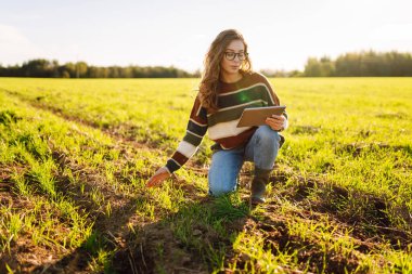 Dijital tabletli genç kadın tarımcı yeşil tarım alanında çalışıyor. Kadın çiftçi, genç filizleri ve modern teknolojiyi kullanarak hasadın kalitesini kontrol ediyor. Çiftçilik, teknoloji kavramı.