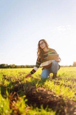 Dijital tabletli genç kadın tarımcı yeşil tarım alanında çalışıyor. Kadın çiftçi, genç filizleri ve modern teknolojiyi kullanarak hasadın kalitesini kontrol ediyor. Çiftçilik, teknoloji kavramı.