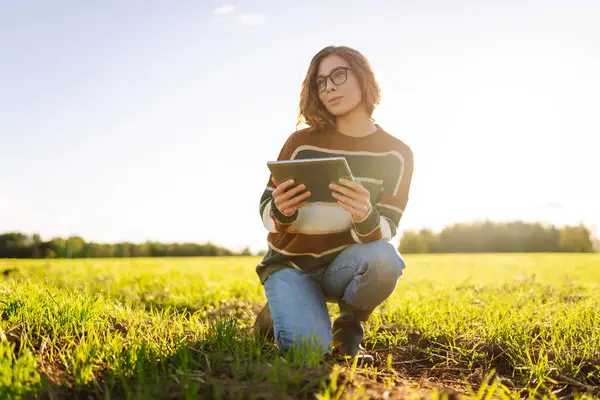 Dijital tabletli genç kadın tarımcı yeşil tarım alanında çalışıyor. Kadın çiftçi, genç filizleri ve modern teknolojiyi kullanarak hasadın kalitesini kontrol ediyor. Çiftçilik, teknoloji kavramı.