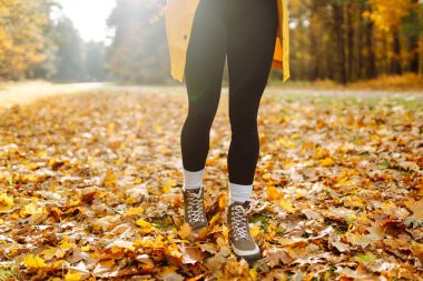 Yürüyüş ayakkabıları giymiş, parlak yaprakların üzerinde yürüyen genç bir kadın yürüyüşçünün bacakları. Dişi bir gezgin güneşli bir ormanda yürüyor. Seyahat, yürüyüş konsepti. Etkin yaşam biçimi.