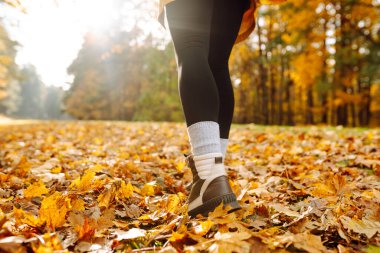 Yürüyüş ayakkabıları giymiş, parlak yaprakların üzerinde yürüyen genç bir kadın yürüyüşçünün bacakları. Dişi bir gezgin güneşli bir ormanda yürüyor. Seyahat, yürüyüş konsepti. Etkin yaşam biçimi.