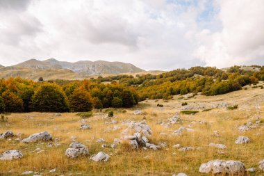 Ufukta yoğun bir orman olan bir dağ manzarası. Arkasında görkemli dağlar olan kayalık çıkıntılı bir vadi. Vahşi doğa, güzellik, yalnızlık kavramı.