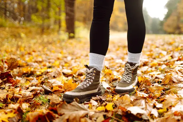Yürüyüş ayakkabıları giymiş, parlak yaprakların üzerinde yürüyen genç bir kadın yürüyüşçünün bacakları. Dişi bir gezgin güneşli bir ormanda yürüyor. Seyahat, yürüyüş konsepti. Etkin yaşam biçimi.