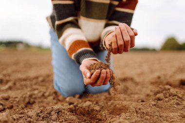Tarım tarlasında verimli topraklar olan çiftçi elleri. Genç bir kadın tarım uzmanının elleri tohum ekmeden önce toprağı kontrol ediyor. Bahçıvanlık, tarım konsepti. Tarım.