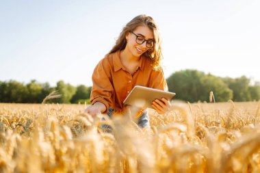 Altın buğday tarlasında dijital tabletli güzel bir dişi çiftçi. Dişi bir tarımcı tarım alanındaki ekinlerin kalitesini ve büyümesini kontrol eder. Teknoloji kavramı, zengin hasat.