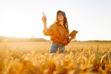 Altın buğday tarlasında dijital tabletli güzel bir dişi çiftçi. Dişi bir tarımcı tarım alanındaki ekinlerin kalitesini ve büyümesini kontrol eder. Teknoloji kavramı, zengin hasat.