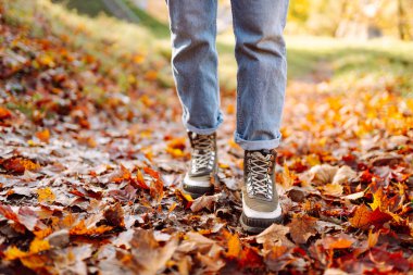 Aydınlık sonbahar yaprakları üzerinde duran çizmeli kadın ayaklarının yakın çekimi. Yürüyüş botlarıyla gezen bir kadın turist güneşli bir ormanda yürüyor. Yürüyüş konsepti, mevsimlik.
