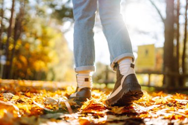 Aydınlık sonbahar yaprakları üzerinde duran çizmeli kadın ayaklarının yakın çekimi. Yürüyüş botlarıyla gezen bir kadın turist güneşli bir ormanda yürüyor. Yürüyüş konsepti, mevsimlik.