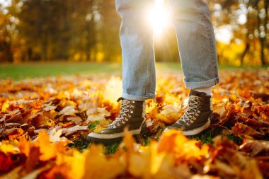 Aydınlık sonbahar yaprakları üzerinde duran çizmeli kadın ayaklarının yakın çekimi. Yürüyüş botlarıyla gezen bir kadın turist güneşli bir ormanda yürüyor. Yürüyüş konsepti, mevsimlik.