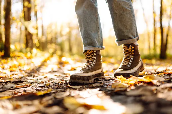 Aydınlık sonbahar yaprakları üzerinde duran çizmeli kadın ayaklarının yakın çekimi. Yürüyüş botlarıyla gezen bir kadın turist güneşli bir ormanda yürüyor. Yürüyüş konsepti, mevsimlik.