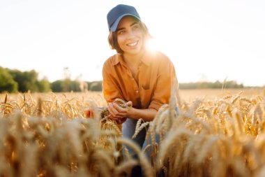 Tarım alanında altın buğday saplarını ayıran şapkalı ve gözlüklü kadın tarımcı. Genç kadın çiftçi buğday hasadının kalitesini kontrol ediyor. Çiftçilik kavramı, zengin hasat.