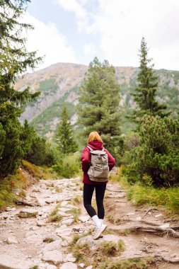 Sırt çantalı kadın yürüyüşçü dağ yürüyüşü yolunda duruyor ve güneşli bir günde dağ manzarasının tadını çıkarıyor. Genç bir kadın güler ve ormanda yürür. Rahatlama kavramı, doğa. Etkin yaşam biçimi.