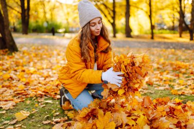 Turuncu ceketli ve eldivenli bir kadın gönüllü güneşli bir günde parlak yapraklar topluyor. Genç kadın, sonbahar yapraklarını parkta tutuyor. Gönüllü olma, mevsimlik ve ekoloji kavramı.