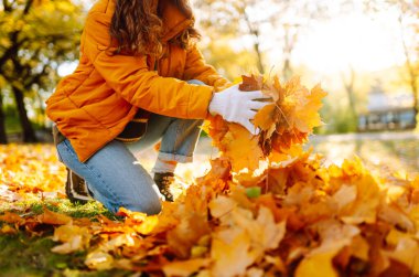 Turuncu ceketli ve eldivenli bir kadın gönüllü güneşli bir günde parlak yapraklar topluyor. Genç kadın, sonbahar yapraklarını parkta tutuyor. Gönüllü olma, mevsimlik ve ekoloji kavramı.