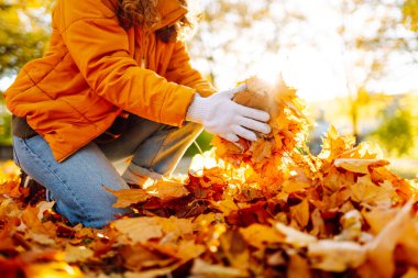Turuncu ceketli ve eldivenli bir kadın gönüllü güneşli bir günde parlak yapraklar topluyor. Genç kadın, sonbahar yapraklarını parkta tutuyor. Gönüllü olma, mevsimlik ve ekoloji kavramı.