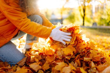 Turuncu ceketli ve eldivenli bir kadın gönüllü güneşli bir günde parlak yapraklar topluyor. Genç kadın, sonbahar yapraklarını parkta tutuyor. Gönüllü olma, mevsimlik ve ekoloji kavramı.
