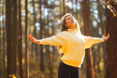 Günbatımında sonbahar ormanında parlak kazaklı genç kadın yoga yapıyor. Atletik kadın egzersiz yapıyor, dışarıda esniyor. Meditasyon, yoga ve rahatlama konsepti.