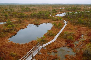 Dolambaçlı ahşap bir patika, uzun otlar ve gri bulutlarla dolu bir sulak araziye çıkar. Doğa manzarası. Yürüyüş yolları olan sonbahar bataklıkları. Doğa konsepti.
