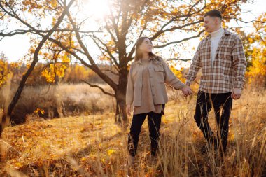 Sonbahar ormanında eğlenen iki güzel insan. Sevimli bir kadın ve erkek güneşli bir parkta yürüyor, sarılıyorlar. Dışarıda bir randevuda. Aşk kavramı, rahatlama..