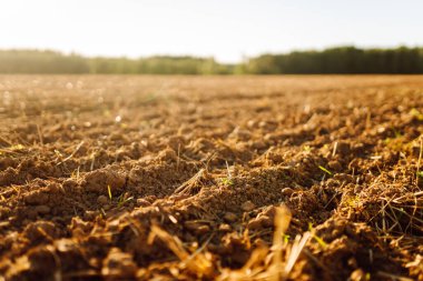 Gün batımında yeni sürülmüş tarlalar. Güneş ışınlarına maruz kalmadan önce tarımsal bir arazide verimli toprak. Bahçe ve tarım kavramı.