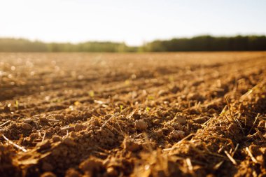 Gün batımında yeni sürülmüş tarlalar. Güneş ışınlarına maruz kalmadan önce tarımsal bir arazide verimli toprak. Bahçe ve tarım kavramı.