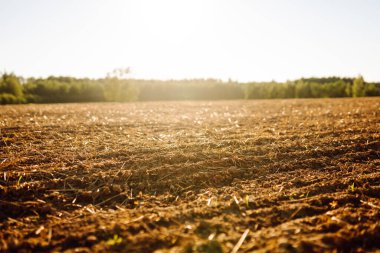 Gün batımında yeni sürülmüş tarlalar. Güneş ışınlarına maruz kalmadan önce tarımsal bir arazide verimli toprak. Bahçe ve tarım kavramı.