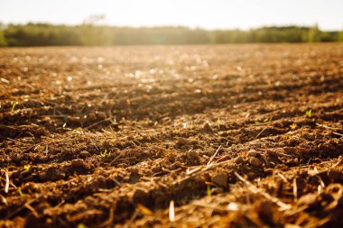 Gün batımında yeni sürülmüş tarlalar. Güneş ışınlarına maruz kalmadan önce tarımsal bir arazide verimli toprak. Bahçe ve tarım kavramı.