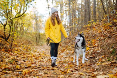 Sevgili Husky 'siyle mutlu bir kadın güneşli bir sonbahar parkında yürüyor. Neşeli bir kadın ve evcil hayvanı açık havada parlak yaprakların keyfini çıkarıyorlar. Arkadaşlık konsepti, mevsimlik.