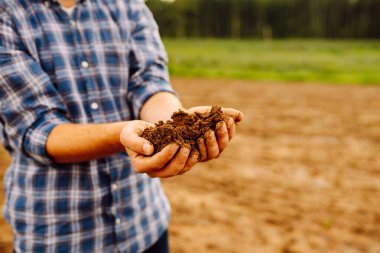 Ziraat alanında kara toprak tutan genç bir tarım uzmanının ellerine yakın çekim. Gömlekli bir çiftçi verimli toprağın kalitesini ölçer ve açık havada çalışır. Tarım.
