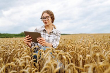 Bir buğday tarlasında dijital tabletle deneyimli kadın tarımcı. Kadın çiftçi, dijital tabletle buğday kulaklarının kalitesini ölçüyor. Bahçe ve tarım kavramı.