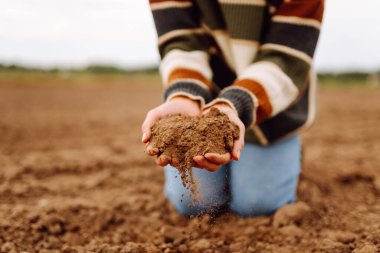Elinde kara toprak tutan bir aronun yakın plan görüntüsü. Tarımsal bir tarlaya dökülüyor. Genç kadın çiftçi toprağın kalitesini kontrol eder, elleriyle dokunur. Tarım kavramı. Çiftçilik.