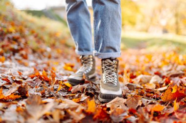 Yürüyüş botlarıyla gezen bir gezginin ayakları rengarenk sonbahar yapraklarıyla kaplı bir orman yolunda yürür. Günbatımında bir kadın sonbahar ormanında yürüyor. Yürüyüş konsepti, mevsimlik.