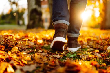 Parlak sonbahar yapraklarıyla kaplı bir patika boyunca yürüyen çizmeli bir adamın yakın çekimi. Güneşli bir günde ayakkabılı bir adam sonbahar parkında yürür. Mevsimlik kavramı, yürür.