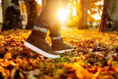 Parlak sonbahar yapraklarıyla kaplı bir patika boyunca yürüyen çizmeli bir adamın yakın çekimi. Güneşli bir günde ayakkabılı bir adam sonbahar parkında yürür. Mevsimlik kavramı, yürür.