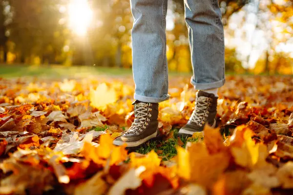 Yürüyüş botlarıyla gezen bir gezginin ayakları rengarenk sonbahar yapraklarıyla kaplı bir orman yolunda yürür. Günbatımında bir kadın sonbahar ormanında yürüyor. Yürüyüş konsepti, mevsimlik.