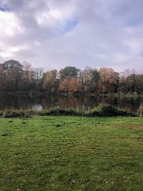 Coventry 'de bir evin arkasından bak. 