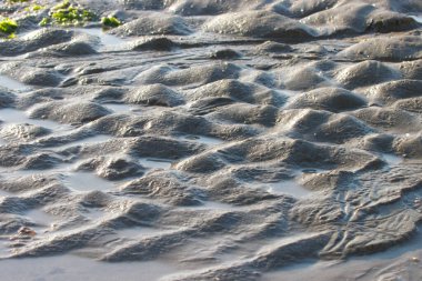 Plaj kum dokusu, arka plan.