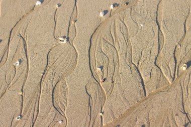 Islak kum arka plan dokusu.