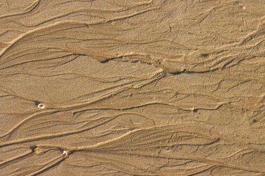 Islak kum arka plan dokusu.