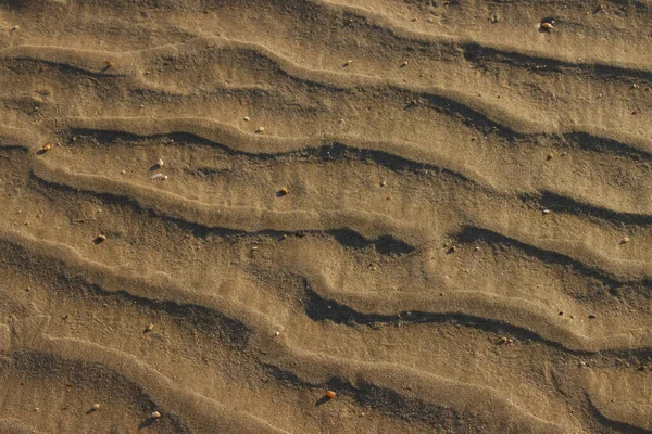 Vlhké Pískové Pozadí Selektivní Zaměření — Stock fotografie