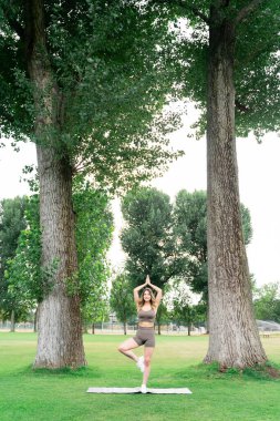 Spor elbiseli genç bir kadın yoga yaparken iki büyük ağaç arasında poz veriyor, yoga yapıyor veya yeşil çimen kredisiyle yaz parkında pilates yapıyor. Boş zaman aktivitesi, günlük rutin, sağlıklı yaşam tarzı.