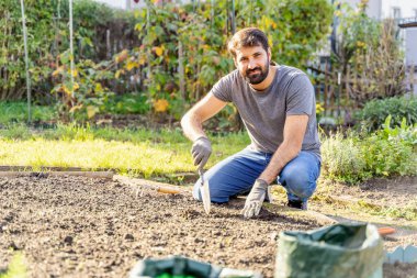 Genç Pakistanlı mutlu, gülen sakallı, kot pantolonlu, tişörtlü ve koruyucu eldivenli çiftçi güneşli bir günde patates toplamak için toprağı kazıyor ya da bahçeye sebze tohumları ekiyor.
