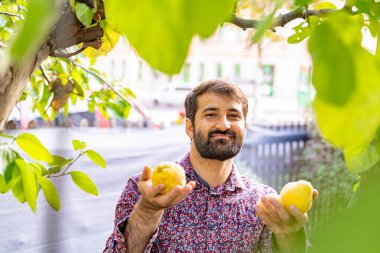 Genç Pakistanlı gülen adam ağaçtan toplanan elmaları mutlulukla gösteriyor. Taze meyvenin tadını çıkarırken çevresi doğa ile çevrili hafta sonu aktivitelerinin keyfini çıkarıyor.