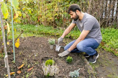 Doğu Hindistanlı ya da Pakistanlı adam kırsal bir bahçeye çiçek ekiyor, çalılar ve çimlerle çevrili, kırsal alanda güzel bir manzara yaratmak için zengin topraklarda çalışıyor.
