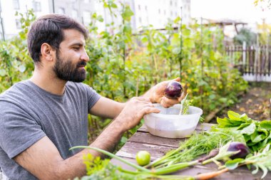 Doğulu aşçı sakallı aşçı şehir bahçesinin dışında havuç, patlıcan ve soğan yıkıyor, organik biyoloji restoranının mutfağında besleyici yemek için malzemeler hazırlıyor.
